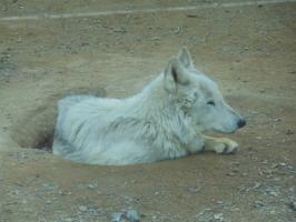 DSCN1732.jpg