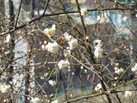 DSCN1905.jpg