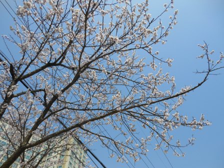 DSCN1998.jpg