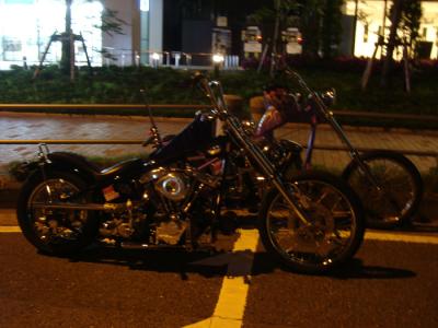 DSC02536.jpg