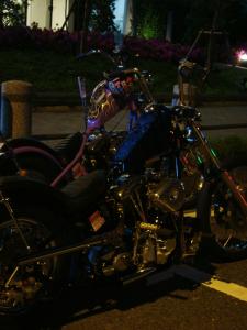 DSC02540.jpg