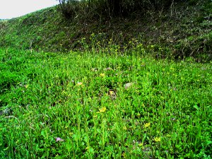 fc2_b20120416.jpg