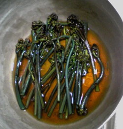 fc2_b20120419.jpg
