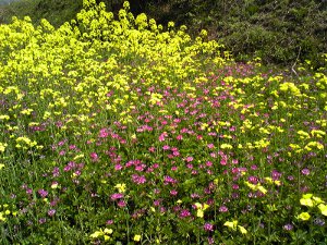 fc2_b20120424.jpg
