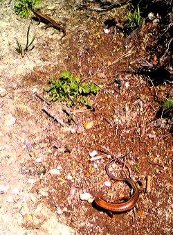 fc2_b20120427.jpg