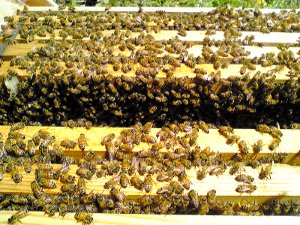 fc2_b20120505-02.jpg