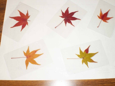 参加賞(もみじのしおり)