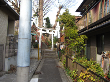 kn01_01tm.jpg