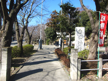 kn02_01tm.jpg