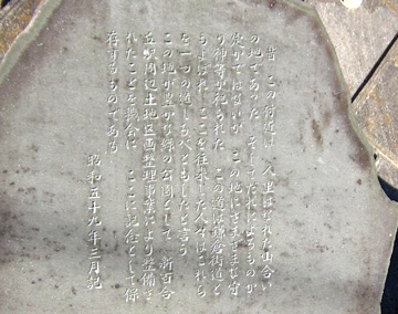 kn02_10tm.jpg