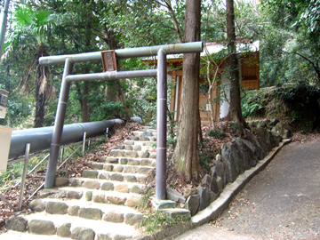 kn07_01tm.jpg