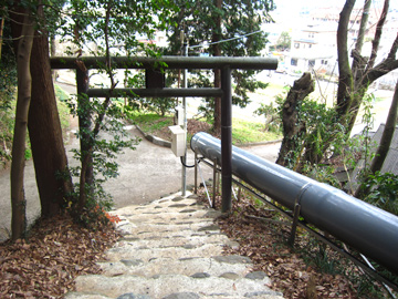 kn07_04tm.jpg
