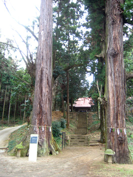 kn08_02tm.jpg