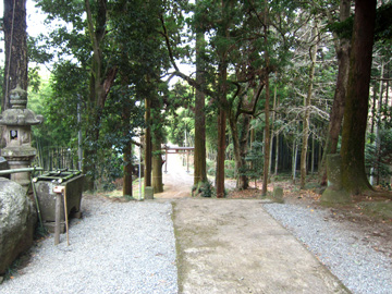 kn08_06tm.jpg