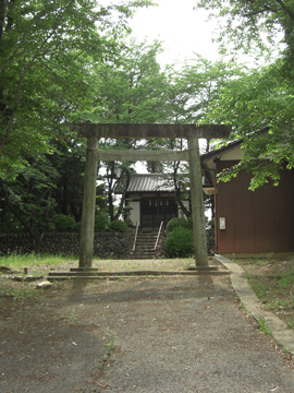 st06_01tm.jpg