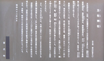 st100_05tm.jpg