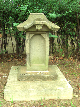 st102_01tm.jpg