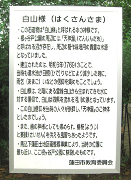 st102_03tm.jpg