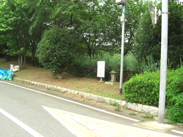 st102_04tm.jpg