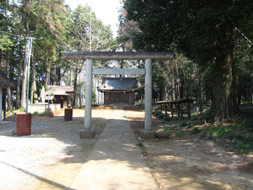 st103_02tm.jpg