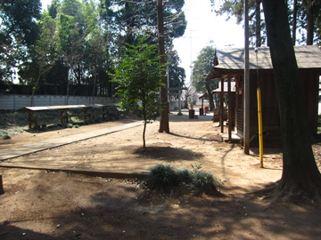 st103_05tm.jpg
