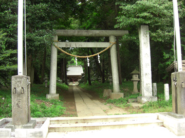 st107_01tm.jpg