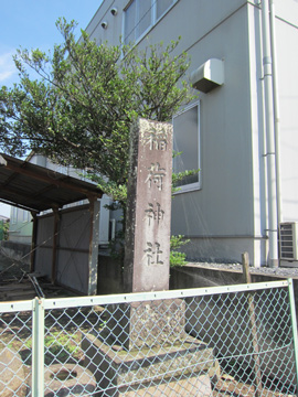 st124_02tm.jpg