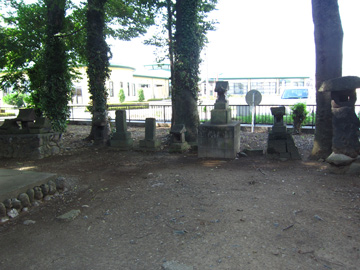 st127_06tm.jpg