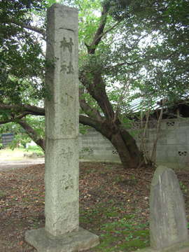 st132_01tm.jpg