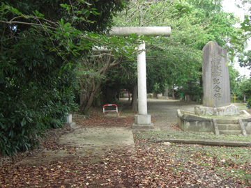 st132_02tm.jpg