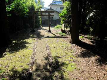 st35_06tm.jpg
