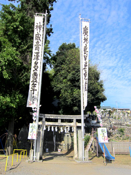 st58_01tm.jpg