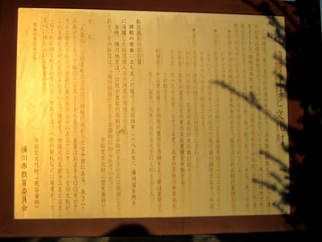 st82_08tm.jpg