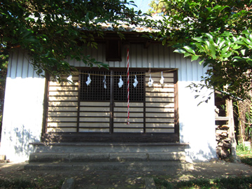st86_02tm.jpg