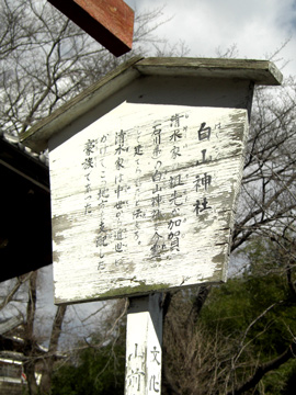 tg01_05tm.jpg