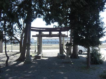 tg05_05tm.jpg