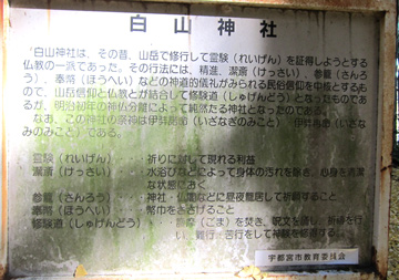 tg23_05tm.jpg