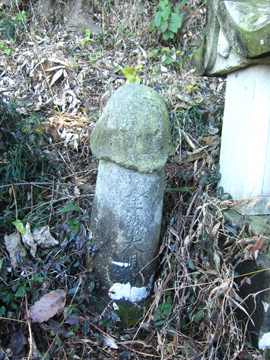 tg25_08tm.jpg