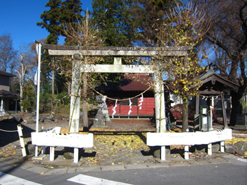 tg26_01tm.jpg