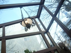 iphone_20120112213047.jpg