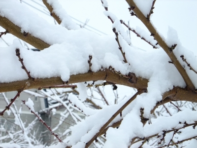 DSCF1162.jpg