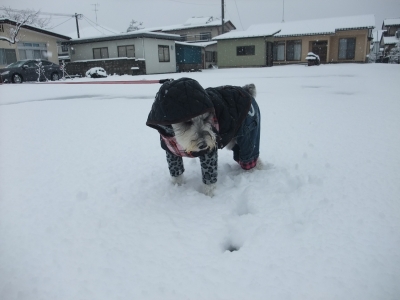DSCF1166.jpg