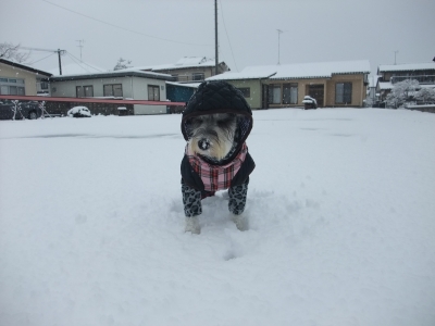 DSCF1167.jpg