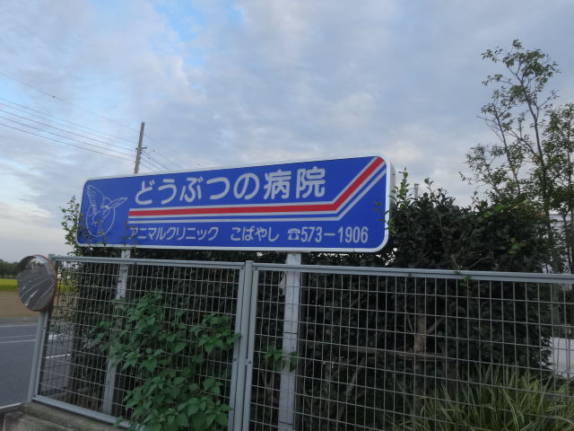 バニラ 073