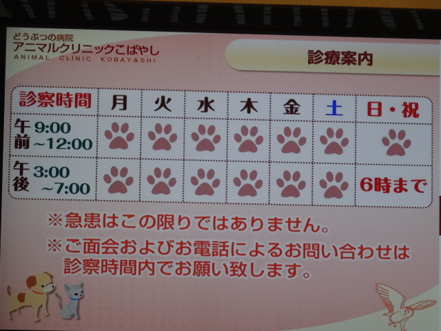 バニラ 075