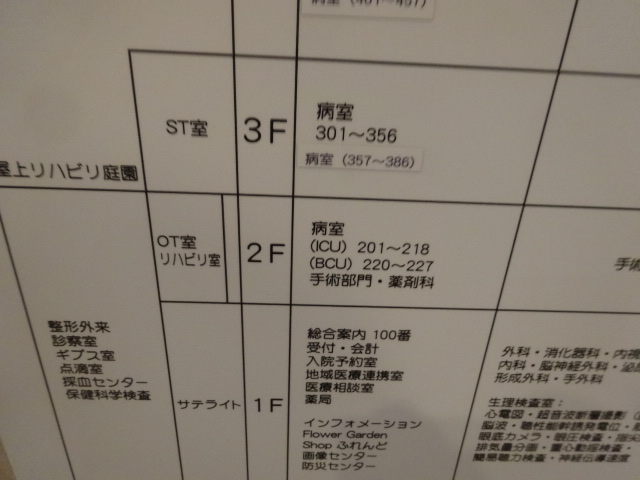 バニラ 065