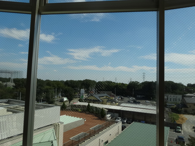 バニラ 066