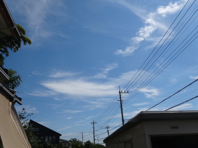 バニラ 063