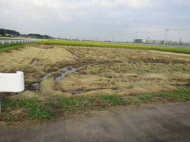 DSC04106.jpg