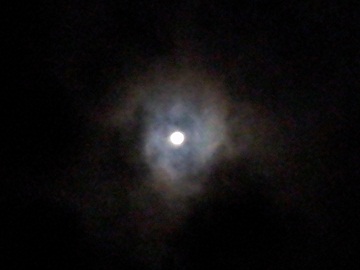 2011-09-12 23.22.54